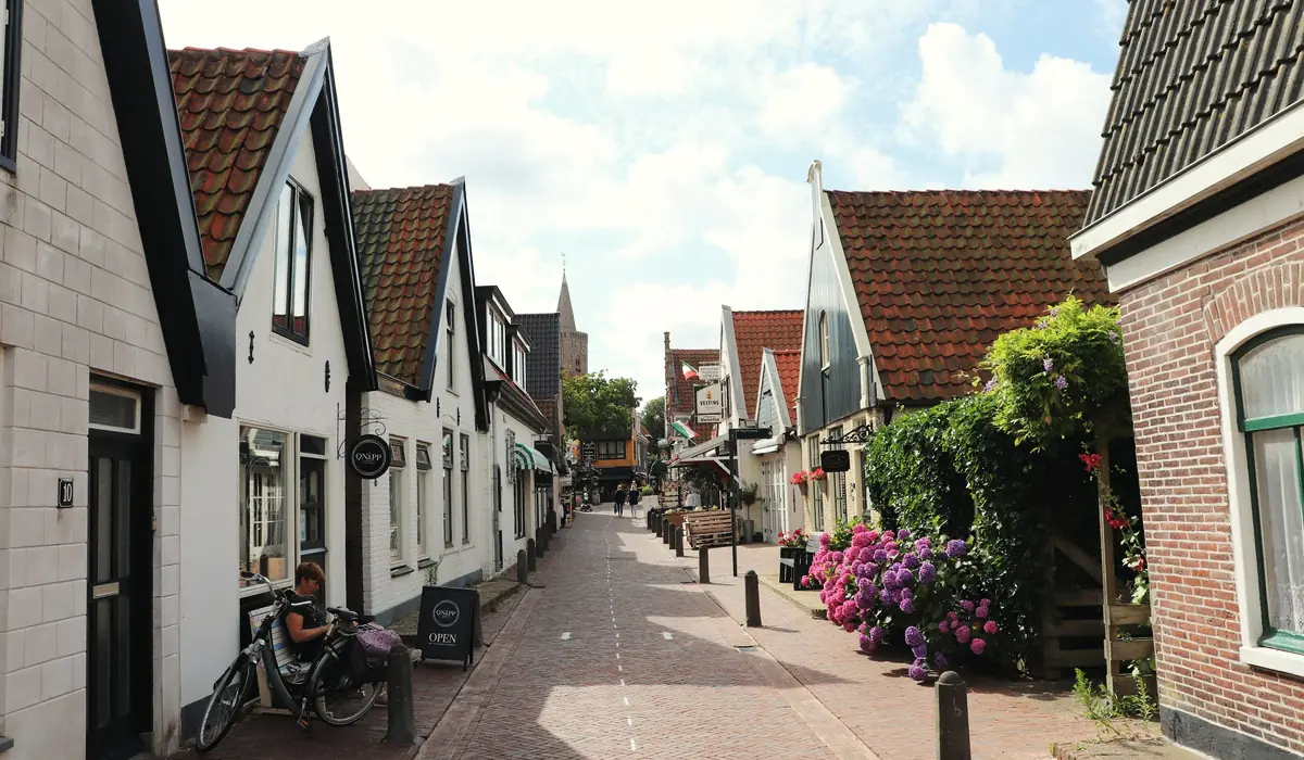 Dorpsstraat met rijwoningen, bloeiende hortensia's en een fiets tegen de gevel